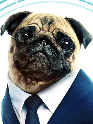 f:id:go-yablog:20190616152904p:plain