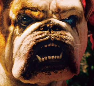 f:id:go-yablog:20190707213009p:plain