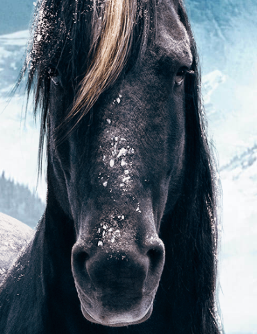 f:id:go-yablog:20191224201549p:plain