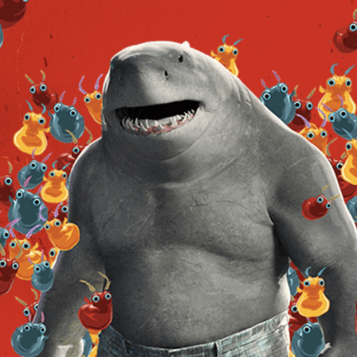 f:id:go-yablog:20210814145816p:plain